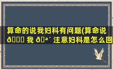 算命的说我妇科有问题(算命说 🐘 我 🪴 注意妇科是怎么回事)